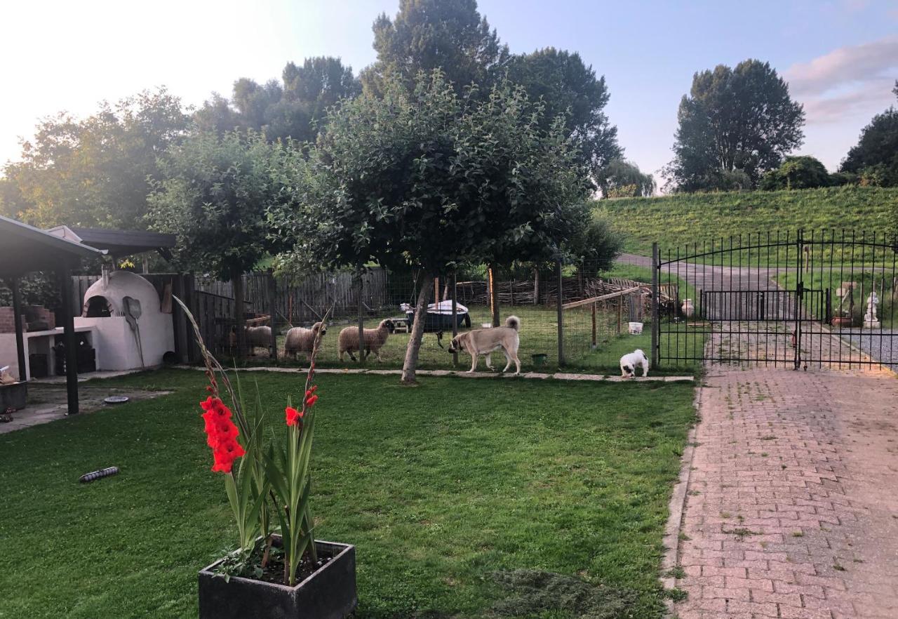 Bed & Breakfast De Oude Schuur *